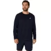 ASICS SILBERNES LANGARM-OBERTEIL ASICS SILBERNES LANGARM-OBERTEIL