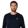 ASICS SILBERNES LANGARM-OBERTEIL ASICS SILBERNES LANGARM-OBERTEIL