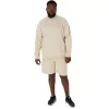 ASICS SUNDAY SANA FLEECESHORTS FÜR HERREN ASICS SUNDAY SANA FLEECESHORTS FÜR HERREN