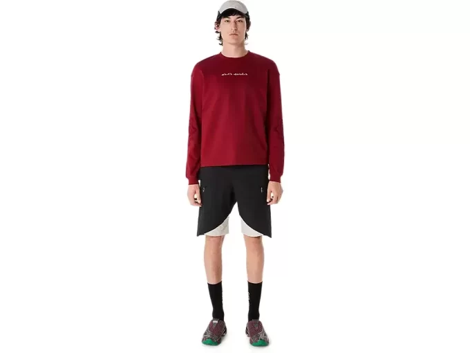 BIXANCE LANGARM