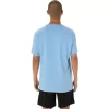 BLÜHENDES FUJI-T-SHIRT