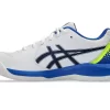 GEL-DEDICATE 8 PICKLEBALL STRASSENGETESTET GEL-DEDICATE 8 PICKLEBALL STRASSENGETESTET