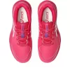 GEL-RESOLUTION X GRADE SCHOOL GEL-RESOLUTION X GRADE SCHOOL