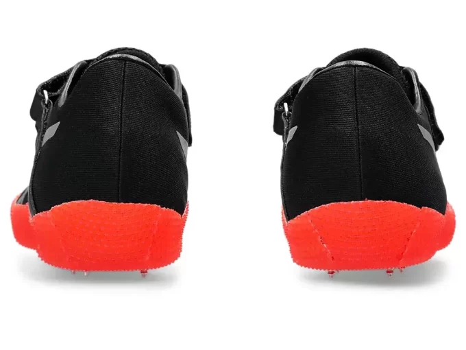 HOCHSPRUNG PRO 3 (R) HOCHSPRUNG PRO 3 (R)