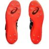 HOCHSPRUNG PRO 3 (R) HOCHSPRUNG PRO 3 (R)