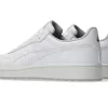 JAPAN S GOLF