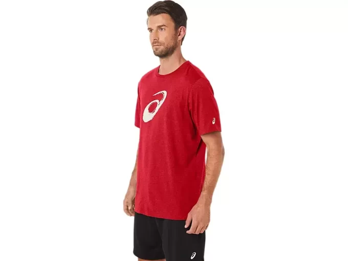 PAINTBRUSH KURZARM-T-SHIRT